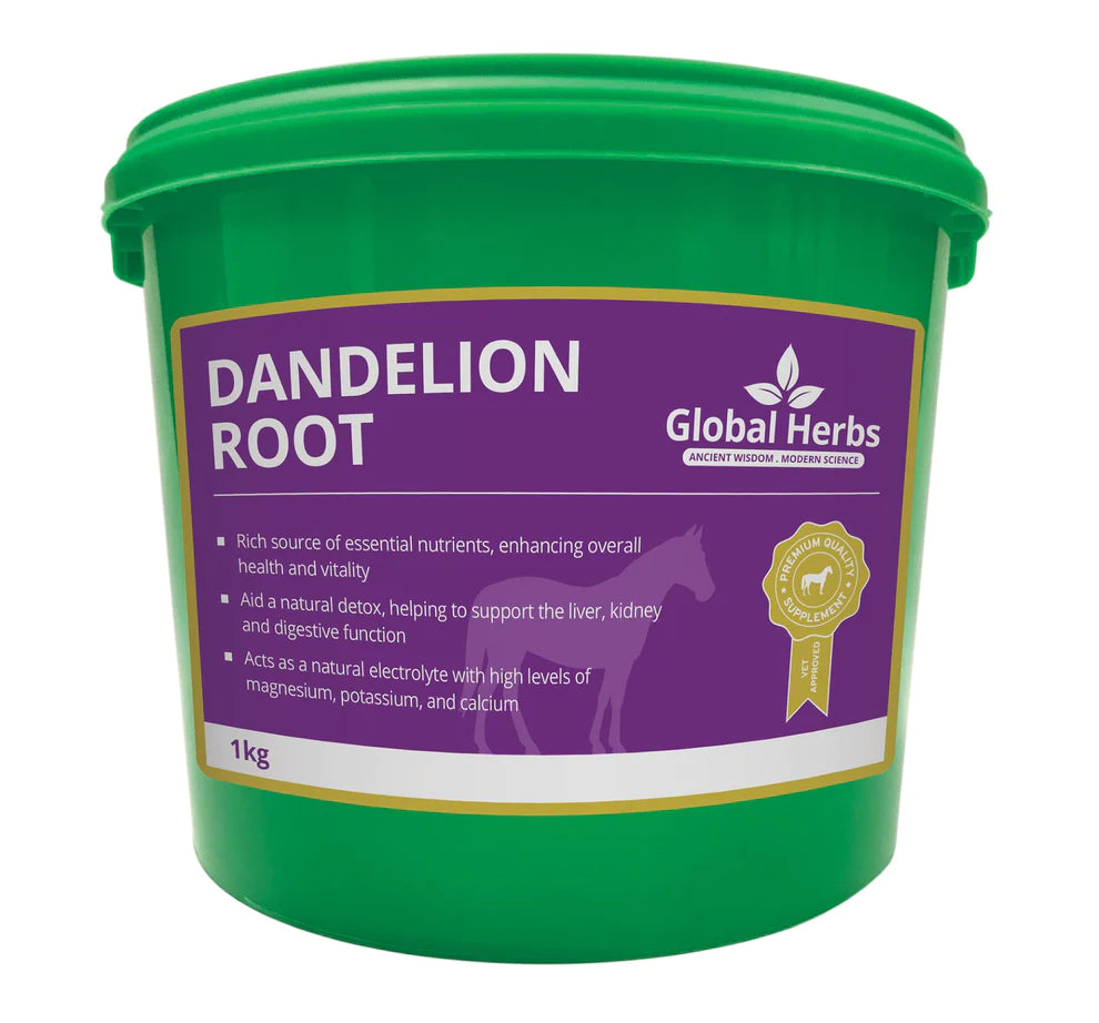 Global Herbs Dandelion Root - 1kg