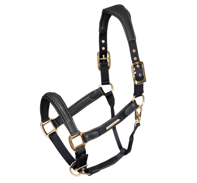 Shires Velociti Lusso Padded Leather Headcollar 4153