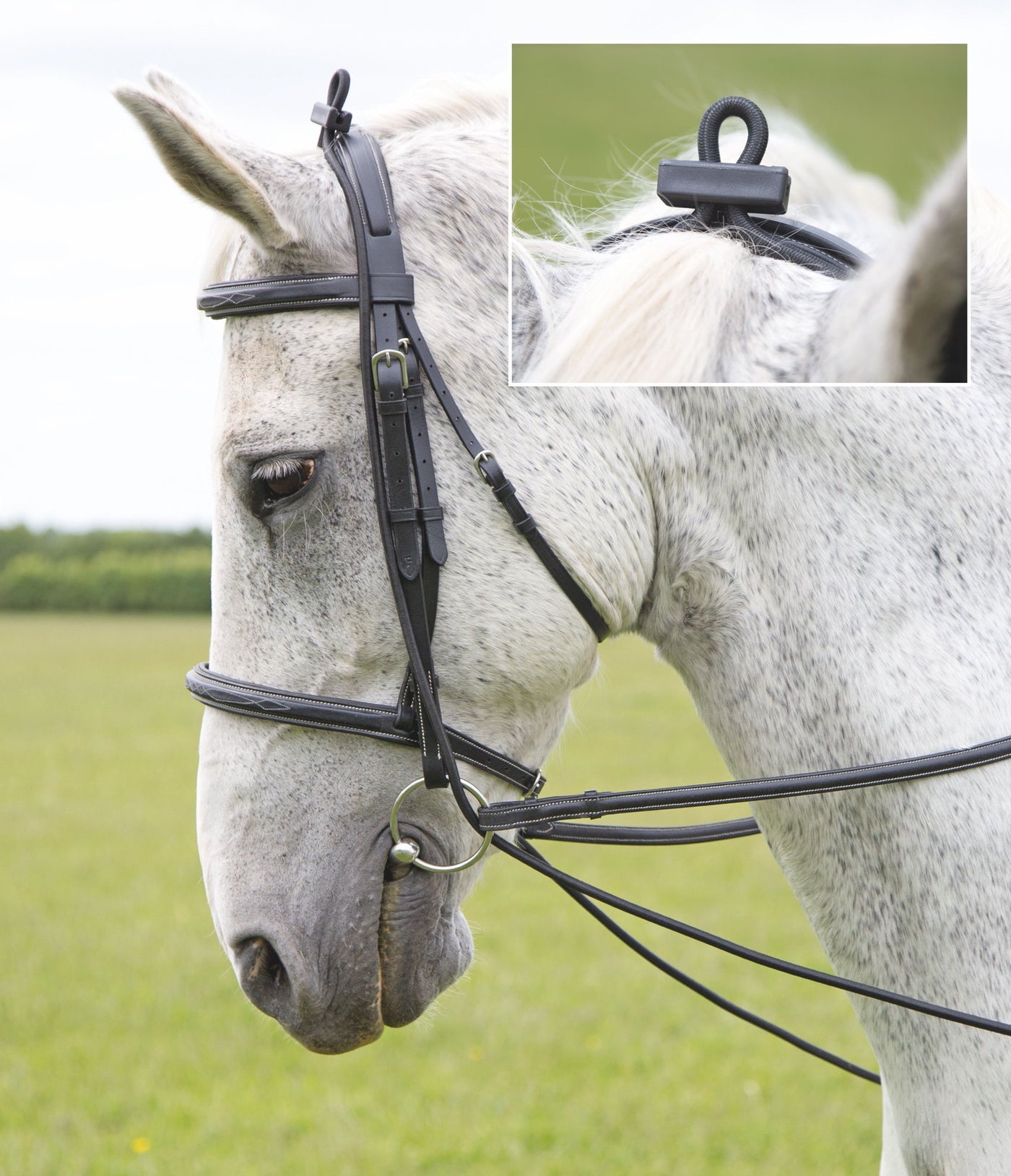 SHIRES Elasticated Bungee Training Rein