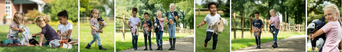 Hobby Horses
