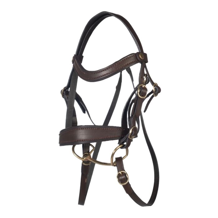 Bridle -Hobby Horsing Basic Brown