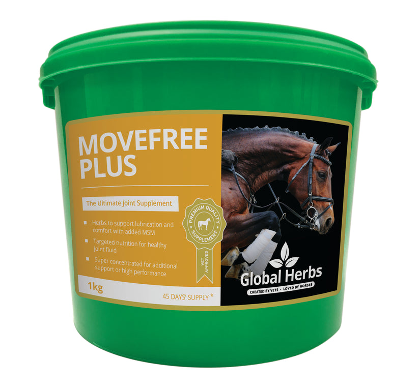 Global Herbs Move Free Plus Powder 1KG Tub