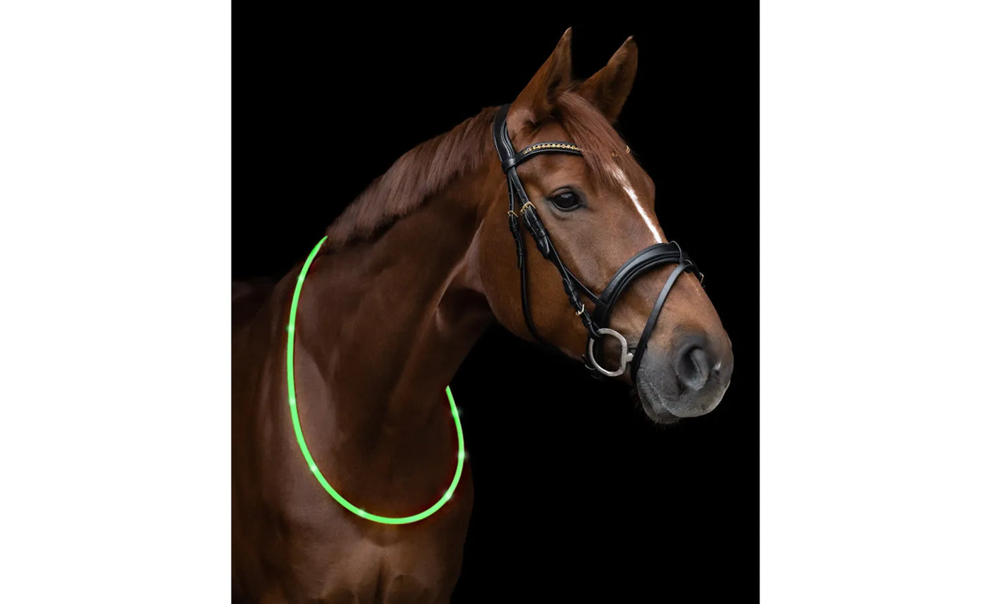 LED Neck Strap - Green