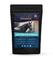 Premier Performance Electrolyte Cookies