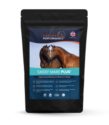 Premier Performance Sassy Mare