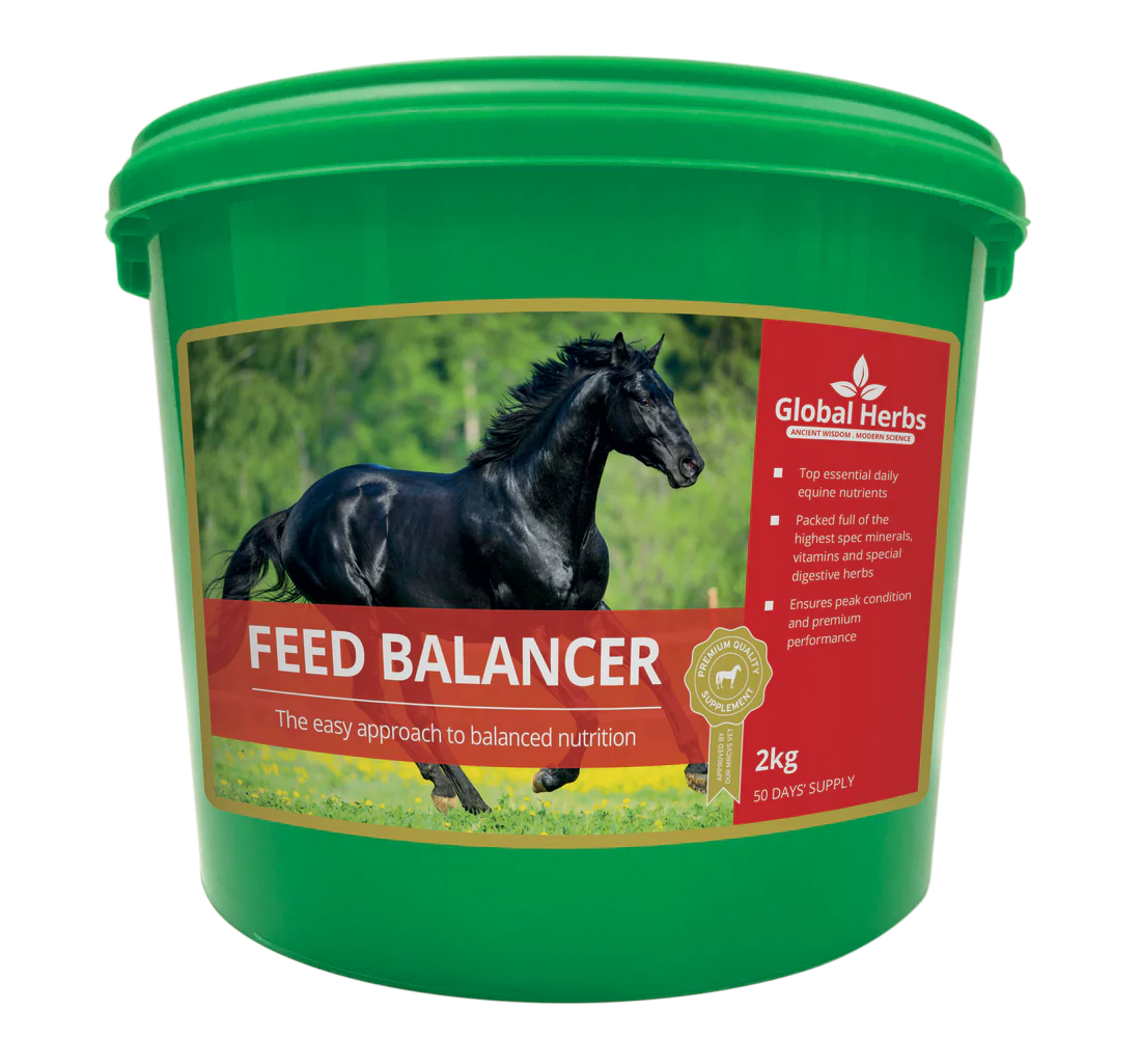 Global Herbs Feed Balancer - 2kg