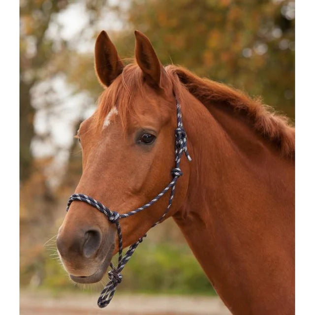 Waldhausen Knotted Halter - Night Blue / Sliver