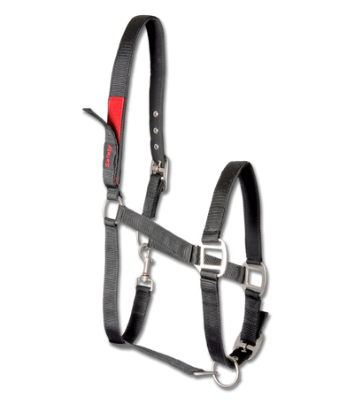 Waldhausen Safety Halter