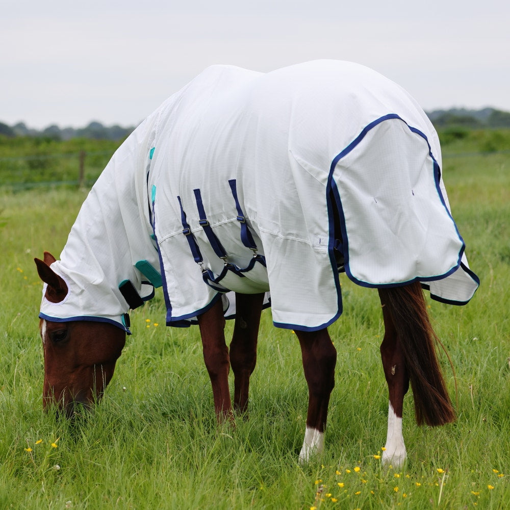 Shires Highlander Sweet Itch Combo Rug