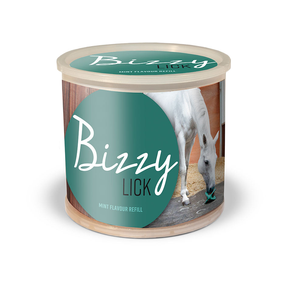 Bizzy Horse Lick - Mint