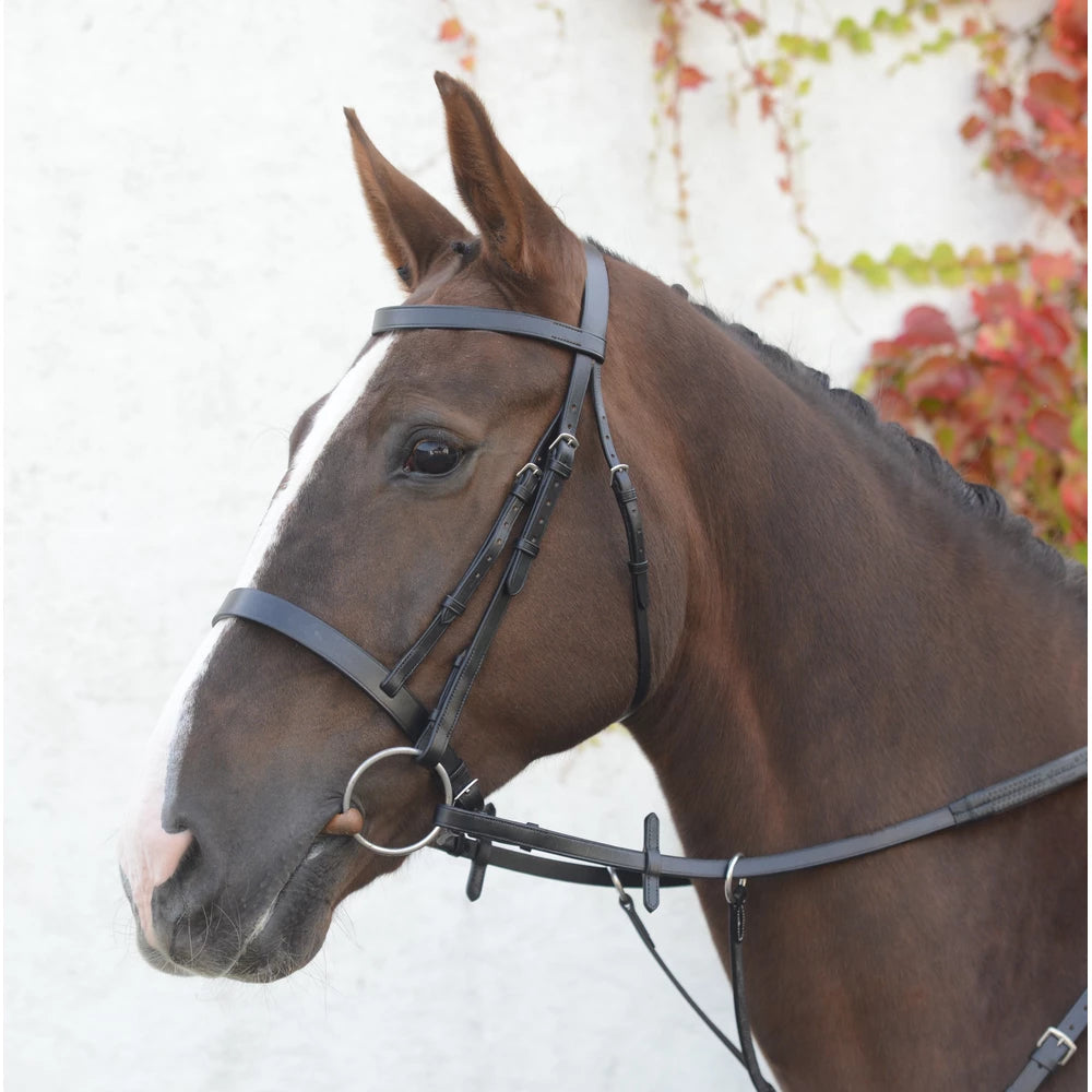 Mackey Classic Hunt Bridle & Reins