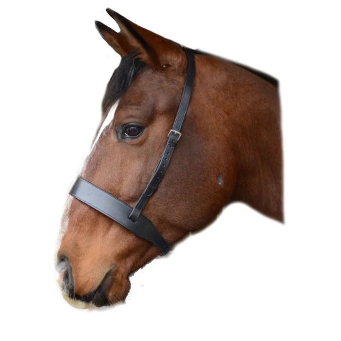 Mackey Classic Wide Flat Cavesson Noseband