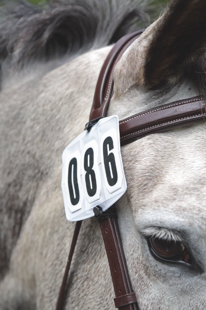 Shires Competition Bridle Numbers