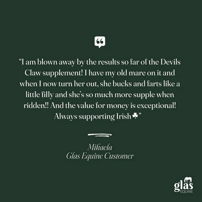 Glas Equine Devil's Claw Joint Support & Injury Care - 1.5KG