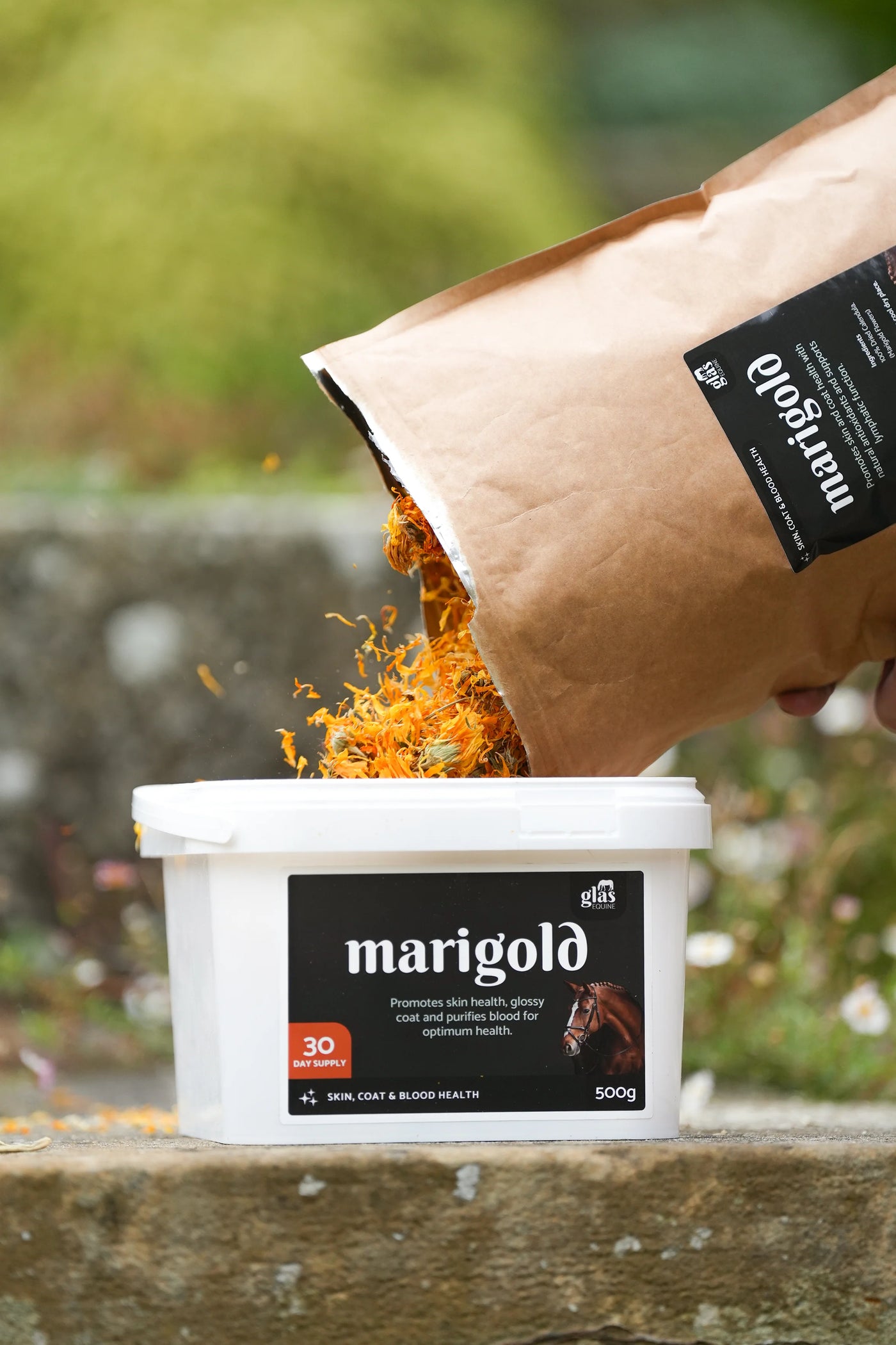 Glas Equine Marigold Skin, Coat & Blood Health - 500G