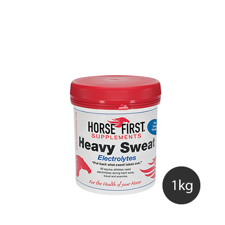 Horse First Heavy Sweat