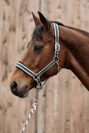 HKM Kopenhagen Headcollar & Lead Set - Deep Green