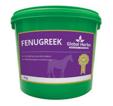 Global Herbs Fenugreek - 1KG