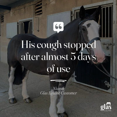 Glas Equine Marshmallow Root Digestive & Respiratory Support - 1KG