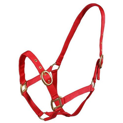 Turfmaster Nylon Headcollar - Assorted Sizes & Colours