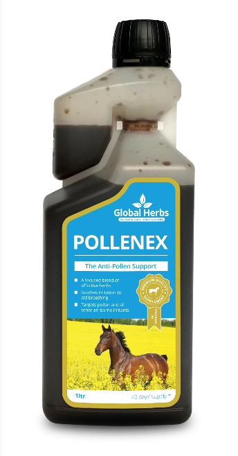 Global Herbs Pollenex Liquid - 1L