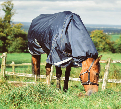 Wicklow Heavy Turnout with detachable Neck 360g - Navy/Gold