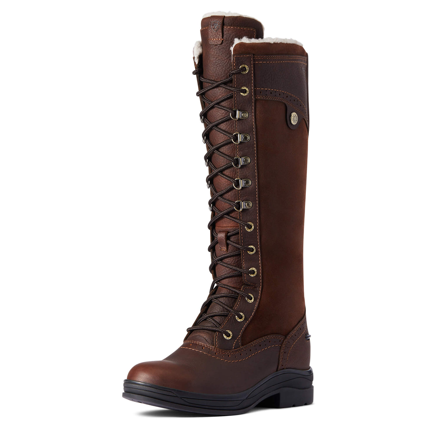 ARIAT WYTHBURN TALL H20