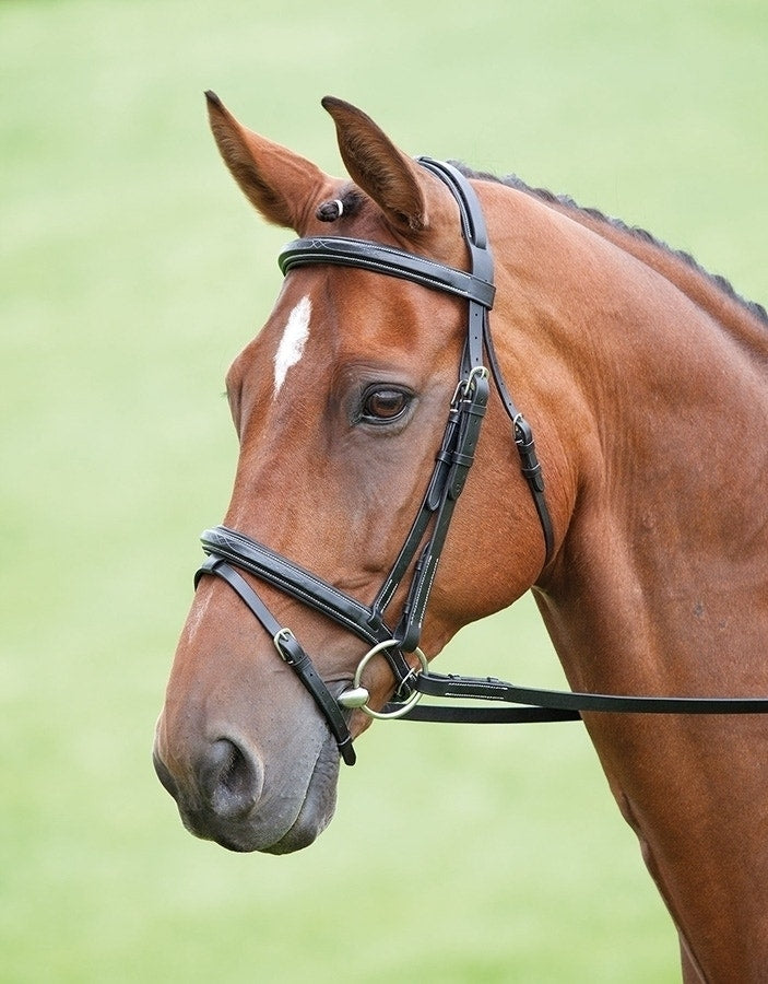 Shires Salusbury Bodenham Bridle 293