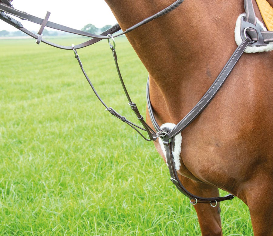 SHIRES SALISBURY THREE POINT BREASTPLATE