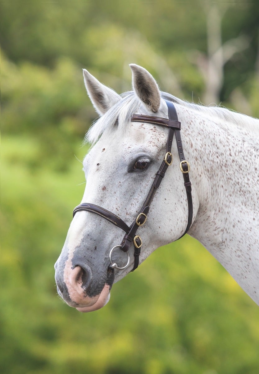 Shires Blenheim Fancy Stitched Inhand Bridle 4136