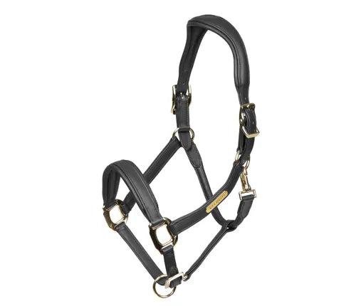 Velociti Rapida Comfort Leather Headcollar 4182