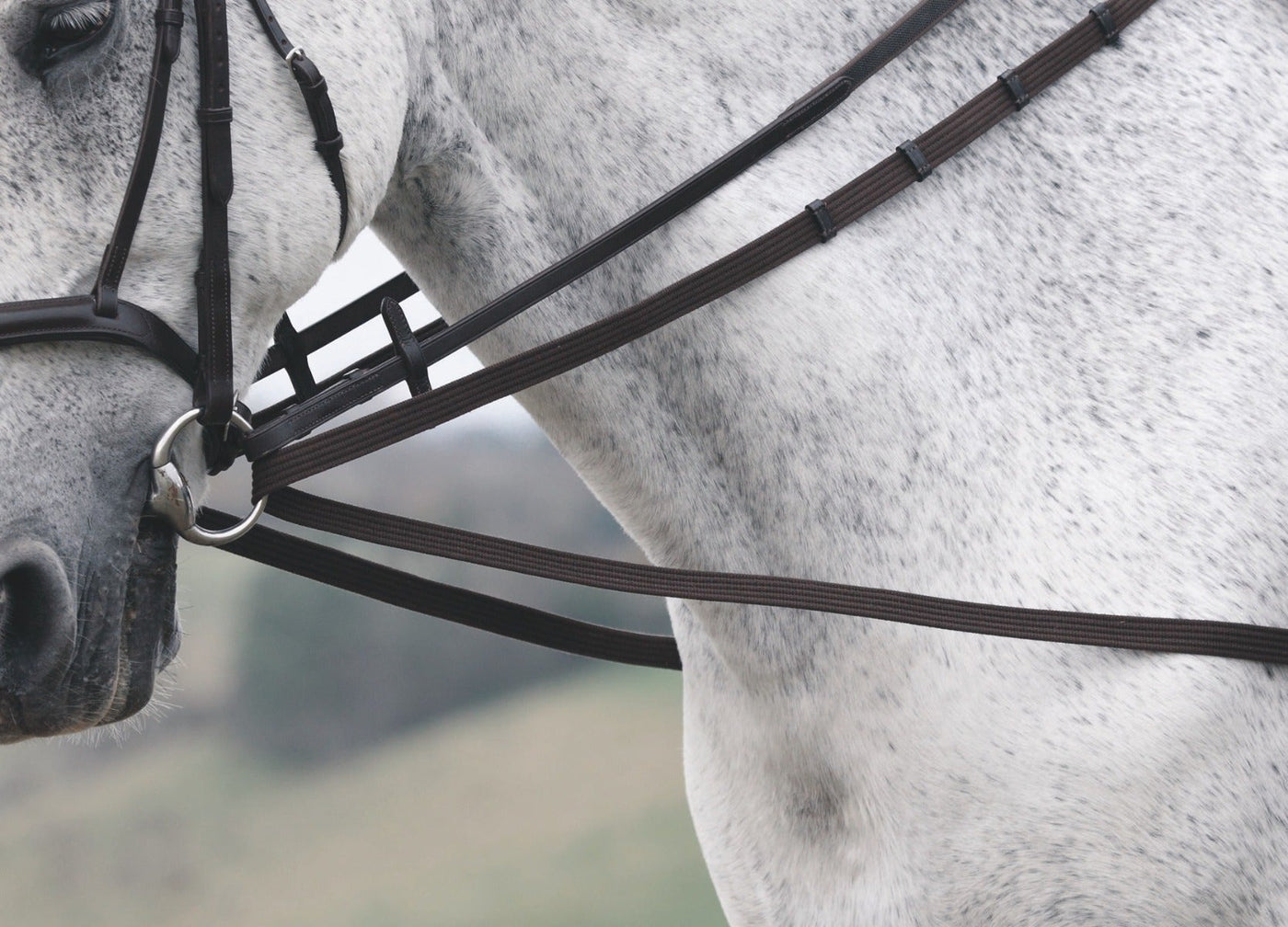 SHIRES Web Draw Reins