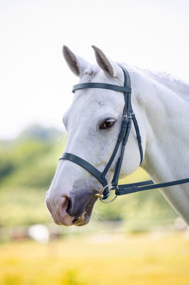 Museruola Shires Velociti RAPIDA Hunter Cavesson Per Cavallo, Taglia Hunter - Foto 3