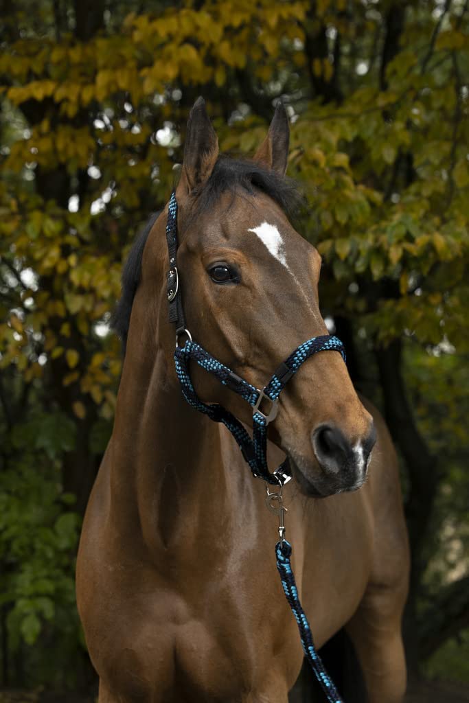 Equitheme Braided Headcollars Assorted Colours.