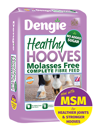 Dengie Healthy Hooves Molasses Free