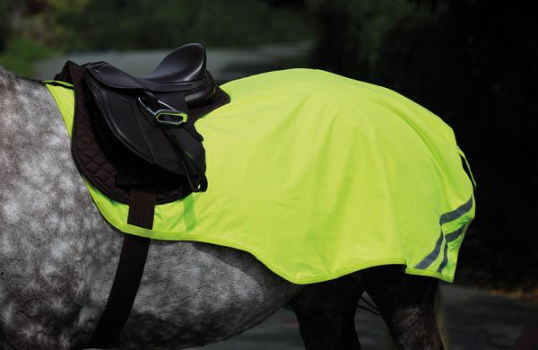 EQUI-FLECTOR Mesh Exercise Sheet Reflective