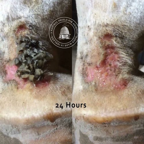 Mother Bee Soothe & Protect - with Tea Tree & Lavender