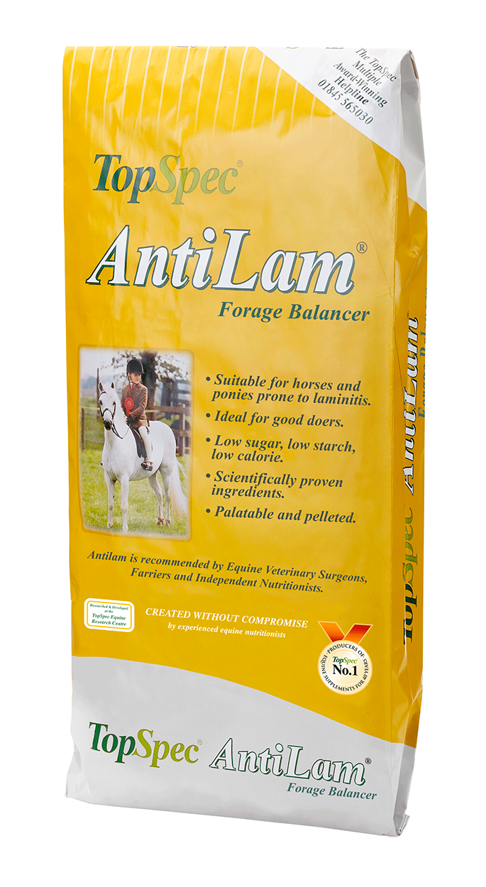 Top Spec Antilam Balancer – Horse Heaven Equestrian