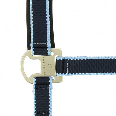 Equitheme Satine Head Collar & Lead Set