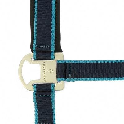 Equitheme Satine Head Collar & Lead Set