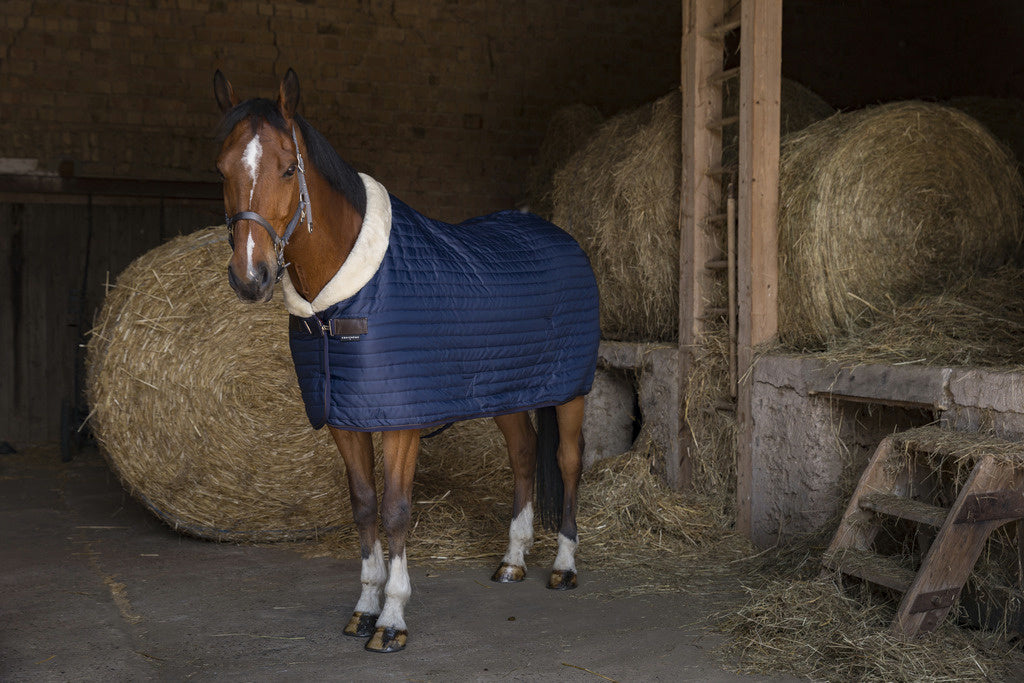 EQUITHEME Teddy Stable Rug (Fur Lined)