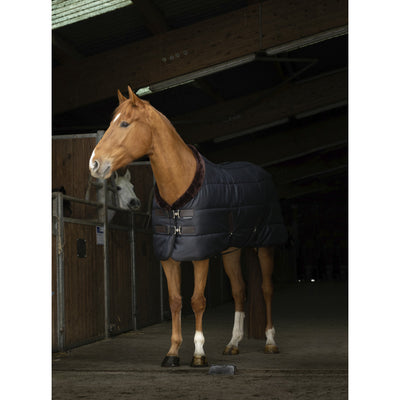 EQUITHEME Teddy Stable Rug