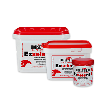 Horse First Exselent E 1KG