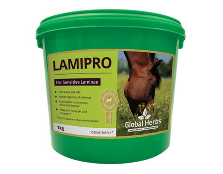 Global Herbs Lamipro Powder - 1KG Tub