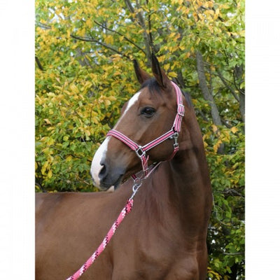 Equitheme Ligne Head Collars, Assorted colours