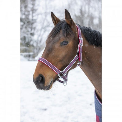 Equitheme Ligne Head Collars, Assorted colours