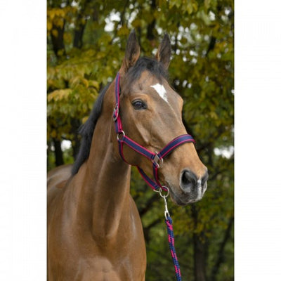 Equitheme Satine Head Collar & Lead Set
