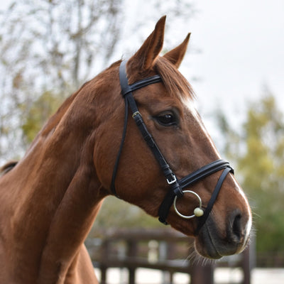 EQUI-SENTIAL BRIDLE & REINS