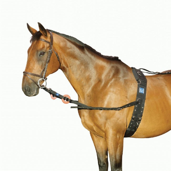 EQUISENTIAL SIDE REINS