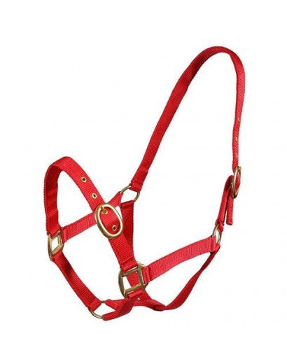 Turfmaster Nylon Headcollar Foal/Weanling - Assorted Colours